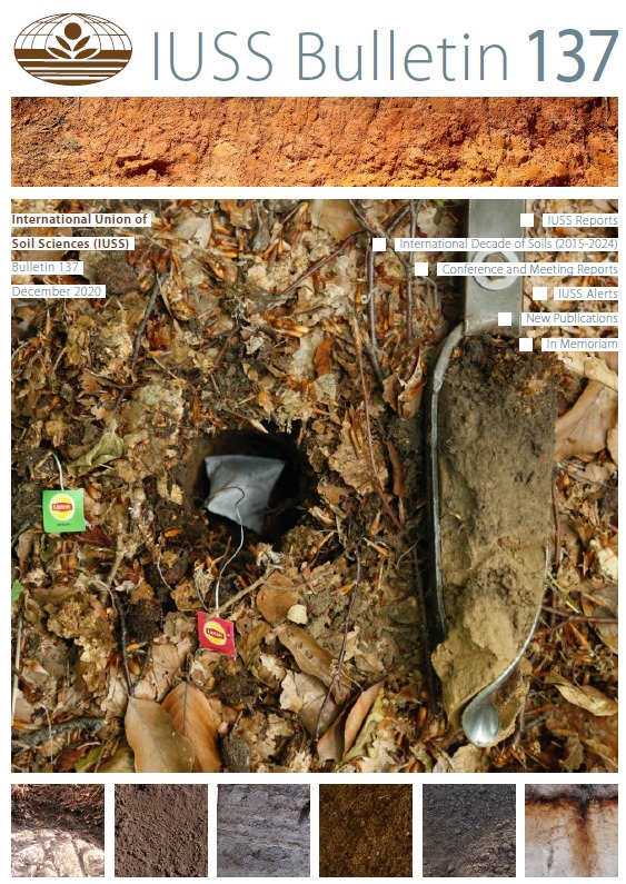 no title has been provided for this book